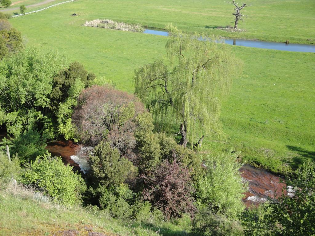 Off Mountain Accommodation Merrijig Zewnętrze zdjęcie
