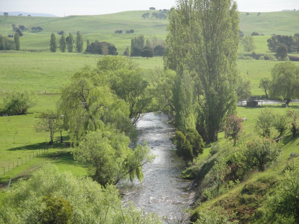 Off Mountain Accommodation Merrijig Zewnętrze zdjęcie